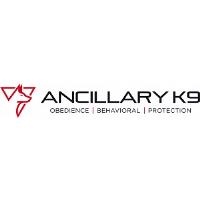 Ancillary K9 Dog Training image 1